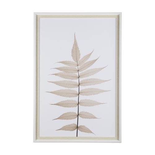 13440 - Lithe Leaves by Assaf Frank a Framed Art Print Matted under Glass