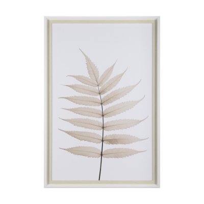 13441 - Limber Leaves by Assaf Frank a Framed Art Print Matted under Glass