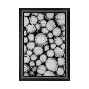 Timber Focus by Assaf Frank a Framed Photo Art Print Matted under Glass