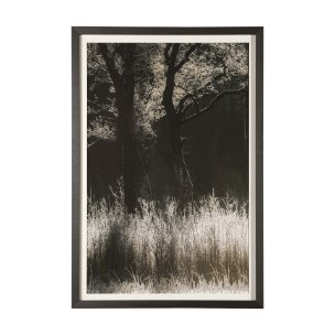 Tranquil Symmetry I by Mikael Svensson a Framed Photo Art Print Matted under Glass