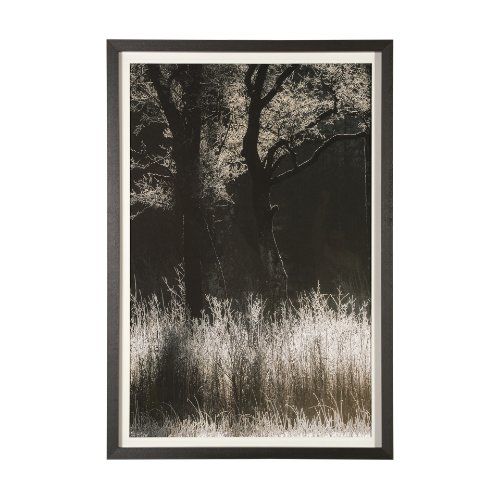 13443 - Tranquil Symmetry I by Mikael Svensson a Framed Photo Art Print Matted under Glass