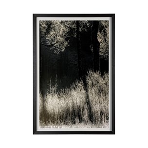 Tranquil Symmetry II by Mikael Svensson a Framed Photo Art Print Matted under Glass