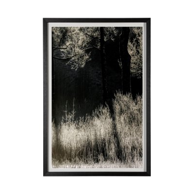 13444 - Tranquil Symmetry II by Mikael Svensson a Framed Photo Art Print Matted under Glass