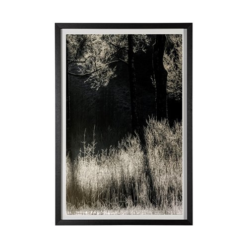 13444 - Tranquil Symmetry II by Mikael Svensson a Framed Photo Art Print Matted under Glass