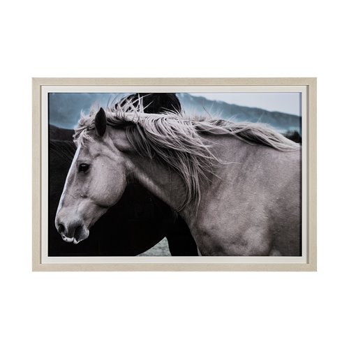 13448 - Close Companions by Nathan Kane a Framed Photo Art Print Matted under Glass