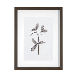 Olive Branch II by Gabrielle a Framed Art Print Matted under Glass
