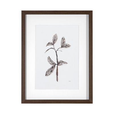 13492 - Olive Branch II by Gabrielle a Framed Art Print Matted under Glass
