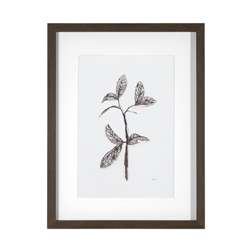 13492 - Olive Branch II by Gabrielle a Framed Art Print Matted under Glass