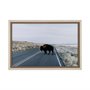 13497 - Bison Crossing by Chelsea Victoria a Hand Embelished Textured Framed Photo Art Print Matted under Gl