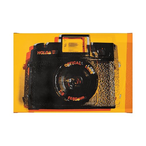 101731-L - Holga Hue by Urban Octopus a Hand Embellished Textured Canvas