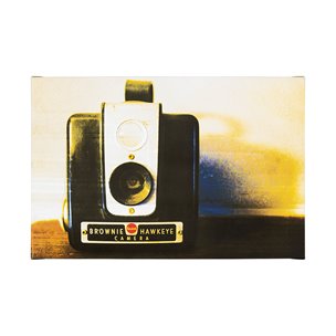 Hawkeye Vintage by Urban Octopus a Hand Embellished Textured Canvas