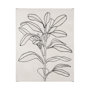 101751-L - Olive Branch Countour I by Emma Scarvey a Hand Embellished Textured Canvas