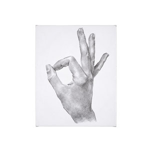 Hand Signs Canvas Series
