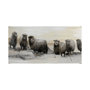 101767-L - Winter Sheeps I by Stellar Design Studio a Hand Embellished Textured Canvas