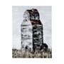 101811-L - Abandoned Grain Elevator II by Mercana Studio a Hand Embellished Textured Canvas
