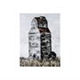 101811-S - Abandoned Grain Elevator II by Mercana Studio a Hand Embellished Textured Canvas