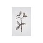 101831-S - Olive Branch II by Gabrielle Campbell a Hand Embellished Textured Canvas