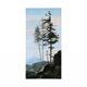 101835-L - Guardian II by Jonathan Klassen a Hand Embellished Textured Canvas