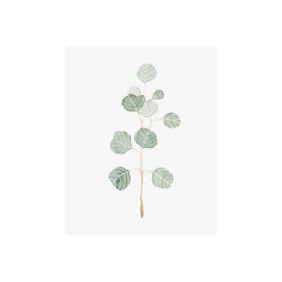 101762-S - Soft Eucalyptus Branch II by Emma Scarvey a Hand Embellished Textured Canvas