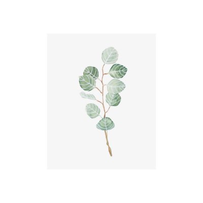 101763-S - Soft Eucalyptus Branch III by Emma Scarvey a Hand Embellished Textured Canvas