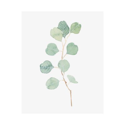 101764-L - Soft Eucalyptus Branch IV by Emma Scarvey a Hand Embellished Textured Canvas