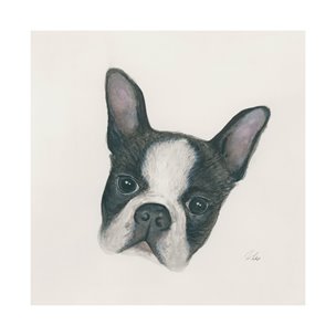 Floyd (Boston Terrier 1) by Mercana Studio a Hand Embellished Textured Canvas
