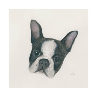 101773-L - Floyd (Boston Terrier 1) by Mercana Studio a Hand Embellished Textured Canvas