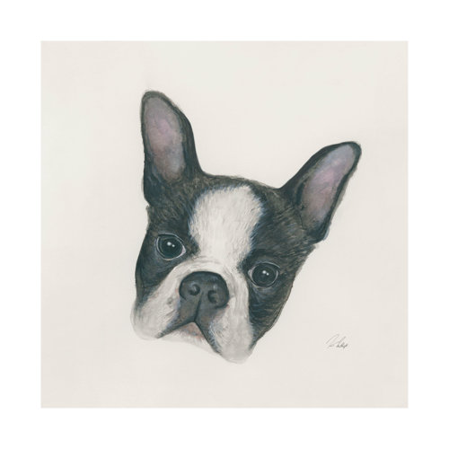 101773-L - Floyd (Boston Terrier 1) by Mercana Studio a Hand Embellished Textured Canvas