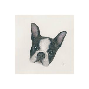 Floyd (Boston Terrier 1) by Mercana Studio a Hand Embellished Textured Canvas
