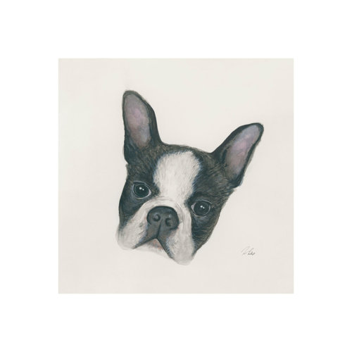 101773-S - Floyd (Boston Terrier 1) by Mercana Studio a Hand Embellished Textured Canvas