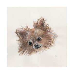 Frankie (Pomeranian 1) by Mercana Studio a Hand Embellished Textured Canvas