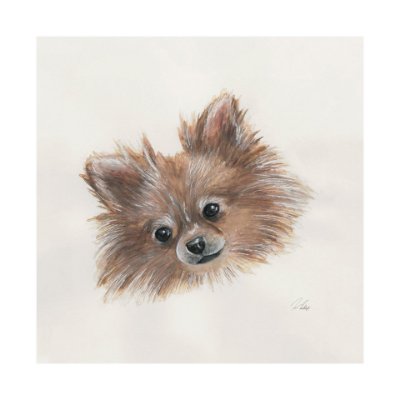 101774-L - Frankie (Pomeranian 1) by Mercana Studio a Hand Embellished Textured Canvas