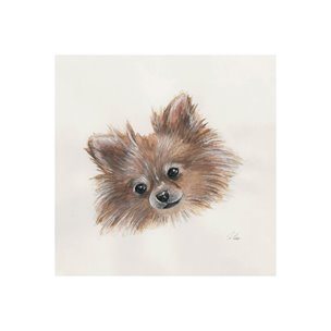 Frankie (Pomeranian 1) by Mercana Studio a Hand Embellished Textured Canvas