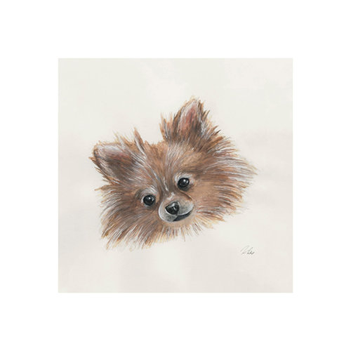 101774-S - Frankie (Pomeranian 1) by Mercana Studio a Hand Embellished Textured Canvas