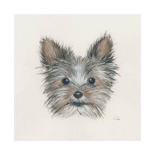 Eddie (Yorkie 1) by Mercana Studio a Hand Embellished Textured Canvas