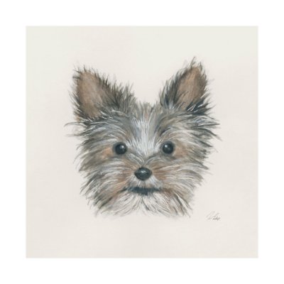 101775-L - Eddie (Yorkie 1) by Mercana Studio a Hand Embellished Textured Canvas