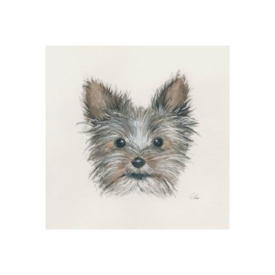 101775-S - Eddie (Yorkie 1) by Mercana Studio a Hand Embellished Textured Canvas