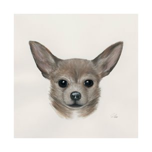 Eddie (Yorkie 1) by Mercana Studio a Hand Embellished Textured Canvas