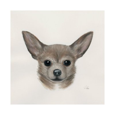 101776-L - Eddie (Yorkie 1) by Mercana Studio a Hand Embellished Textured Canvas
