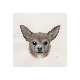 Charlote (Chihuahua) by Mercana Studio a Hand Embellished Textured Canvas