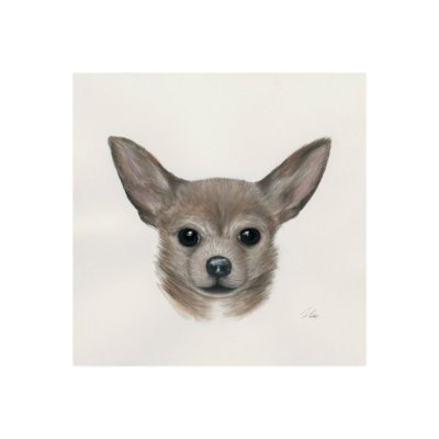 101776-S - Charlote (Chihuahua) by Mercana Studio a Hand Embellished Textured Canvas