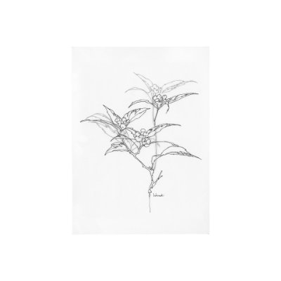 101823-S - Arrangement IV by Hiraki a Hand Embellished Textured Canvas