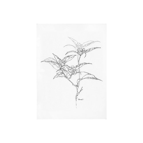 101823-S - Arrangement IV by Hiraki a Hand Embellished Textured Canvas