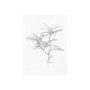 101823-S - Arrangement IV by Hiraki a Hand Embellished Textured Canvas