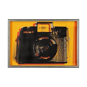 Holga Hue by Urban Octopus a Framed Photo Art Print Matted under Glass