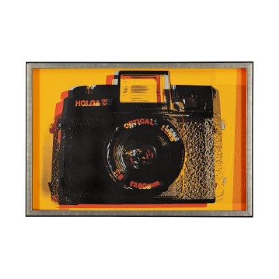 13385 - Holga Hue by Urban Octopus a Framed Photo Art Print Matted under Glass