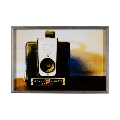13384 - Hawkeye Vintage by Urban Octopus a Framed Photo Art Print Matted under Glass