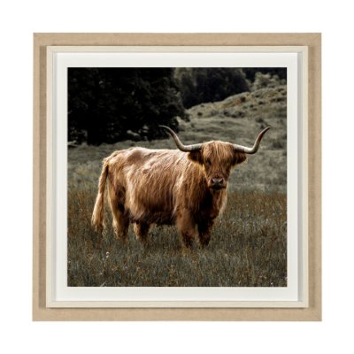 13417 - Humphry by Assaf Frank a Framed Photo Art Print Matted under Glass
