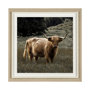 13417 - Humphry by Assaf Frank a Framed Photo Art Print Matted under Glass
