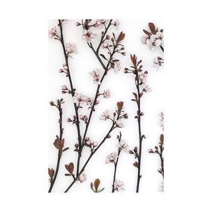 Budding Blossom by Frank Assaf a Hand Embellished Textured Canvas
